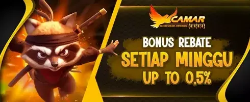 Cashback Harian Hingga 0,5%