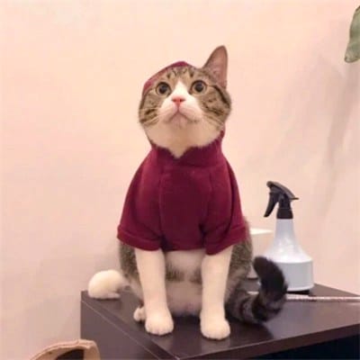 Siti Nurhaliza avatar